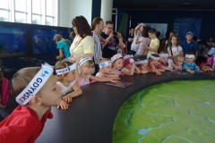 IMG_20140610_112200_471
