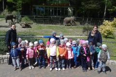 IMG_20150518_111742_824